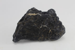 Seiryu Black para acuario