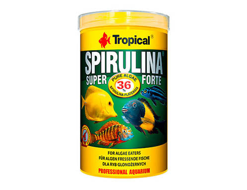 SUPER SPIRULINA FORTE 1000 ML