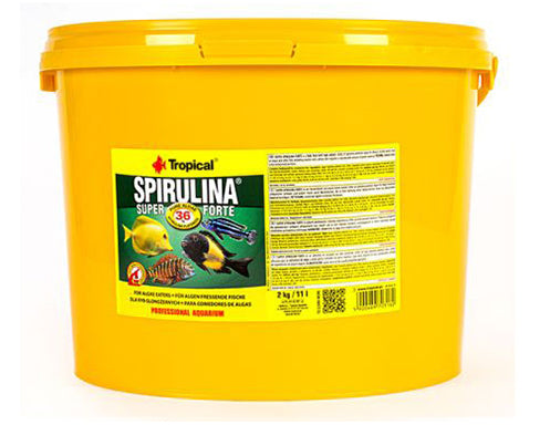 SUPER SPIRULINA FORTE 11 Litros