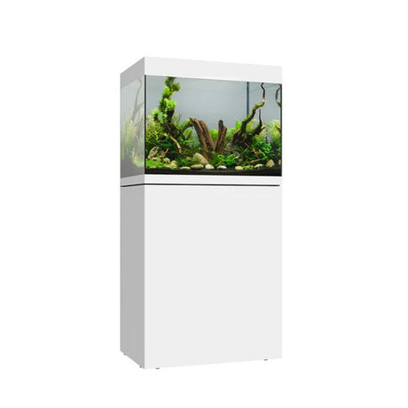 Vista frontal y lateral del acuario con mesa Waterbox Eden 30 en color blanco