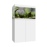 Vista frontal y lateral del acuario con mesa Waterbox Eden X 60 en color blanco