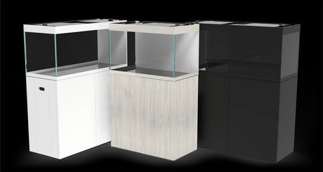 Vista frontal y lateral de la gama de colores (3) del acuario Waterbox Eden X 