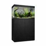 Vista frontal y lateral del acuario con mesa Waterbox Eden X 60 en color negro