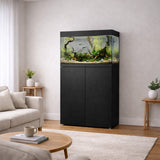 Vistal del acuario con mesa Waterbox Eden X 60 en color negro en una habitación