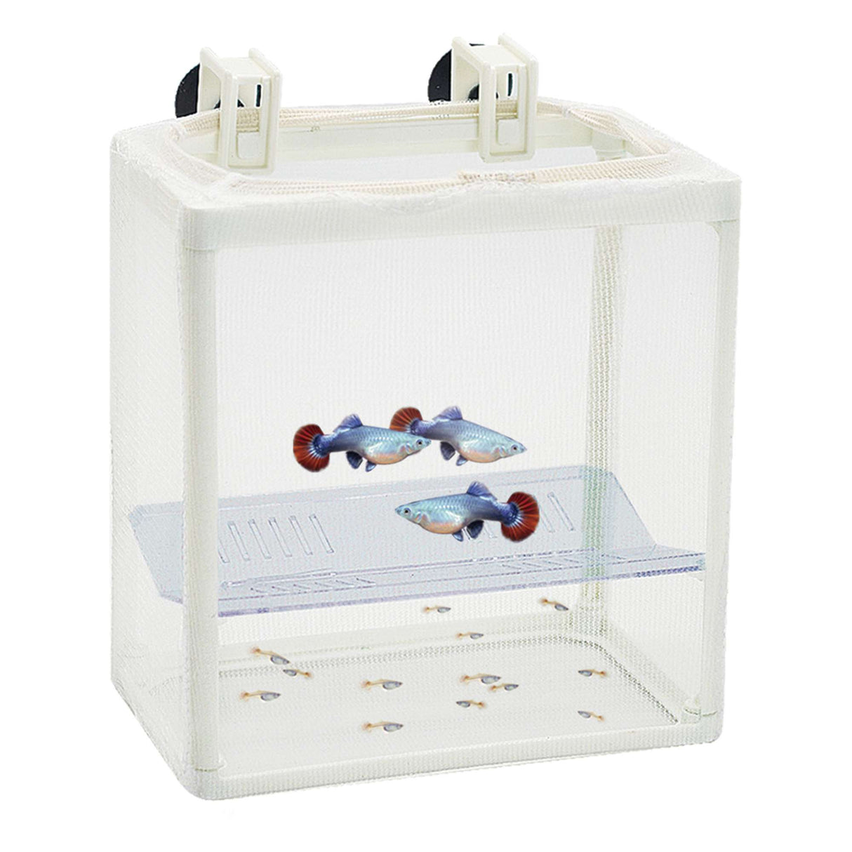 Paridera / Enfermería de RED con separador (14.5 cm) - AP936