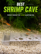 Cueva para Gambas y Peces de Fondo de Acuario