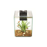 Fluval CHI Kit de acuario de 19 Litros