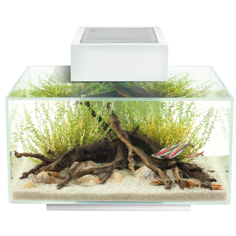 acuario fluvar edge 23 litros blanco