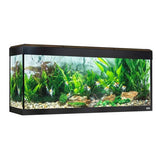 acuario fluval roma 240 nogal