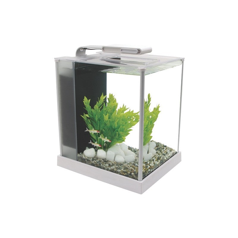 nano acurio fluval spec de 10 litros