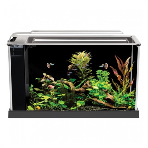 nano acuario fluval spec de 19 litros