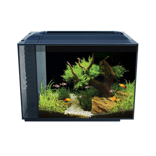 nano acuario fluval spec de 60 litros