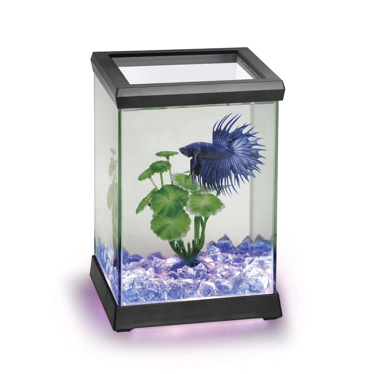 betta space 4.95 litros de color negro