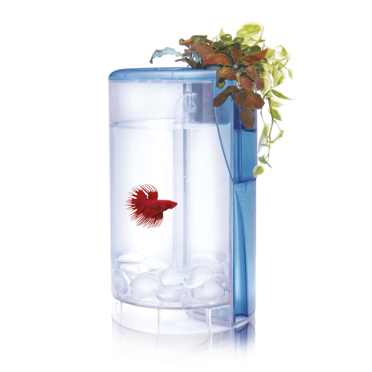 Betta flora de 2 litros de color blanco