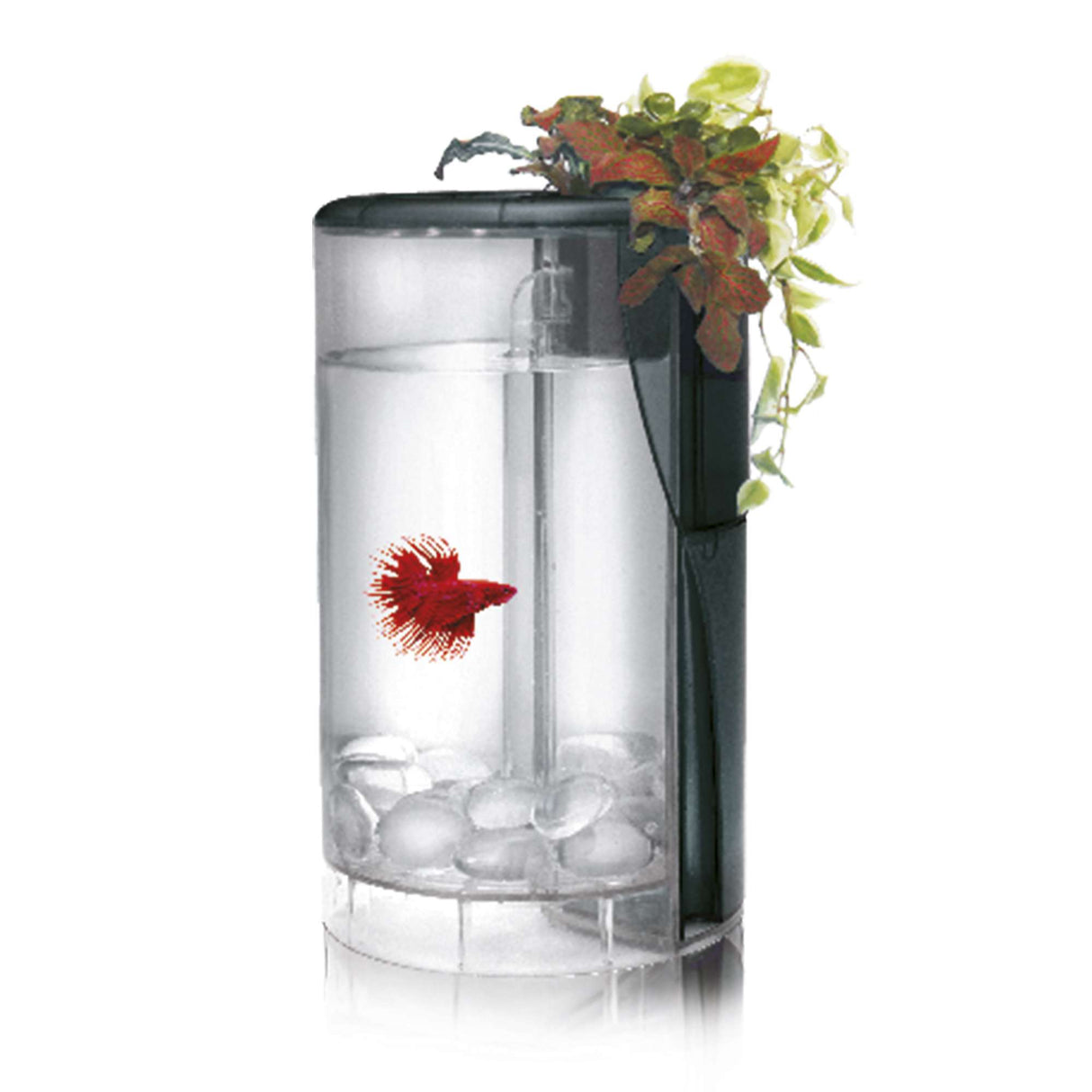 Betta flora de 2 litros de color negro