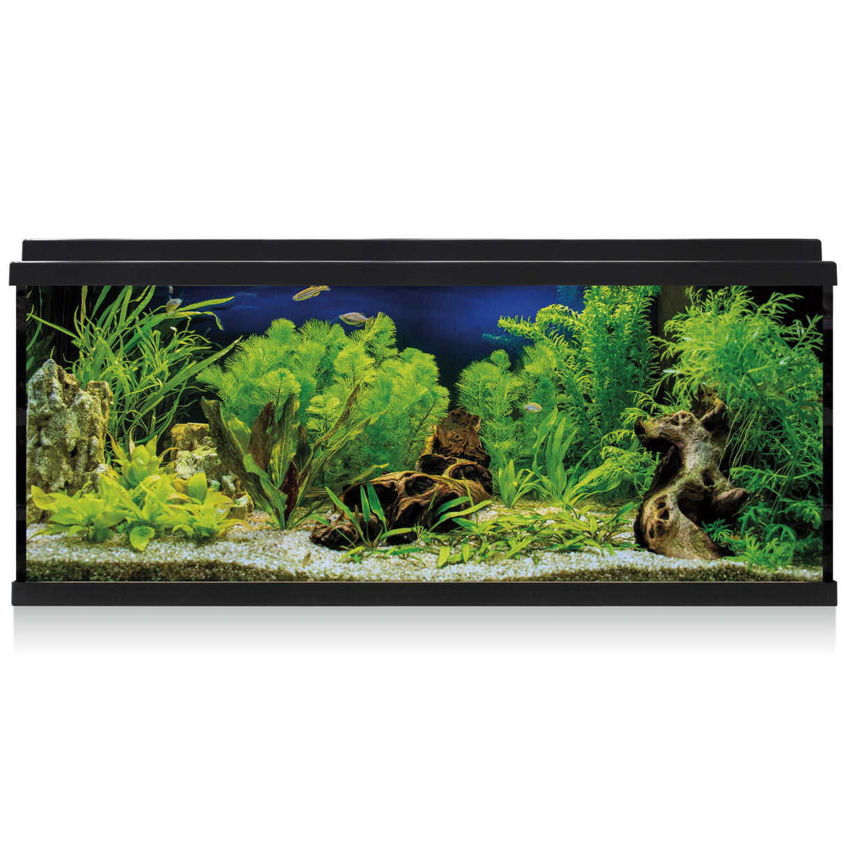 acuario de color negro kit aqua led de 100 litros