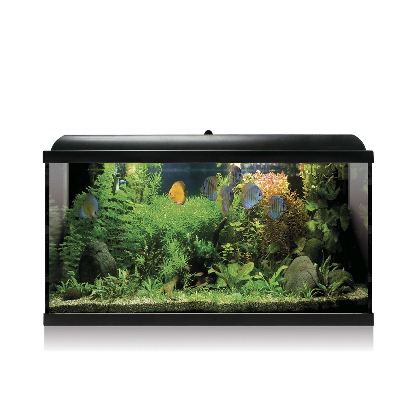 acuario kit aqua led pro de color negro 