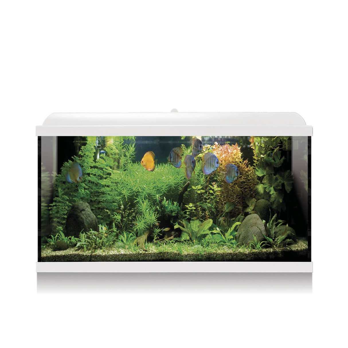 acuario kit aqua led pro 100 de color blanco