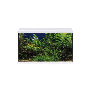 acuario de color blanco kit aqua led 64 litros