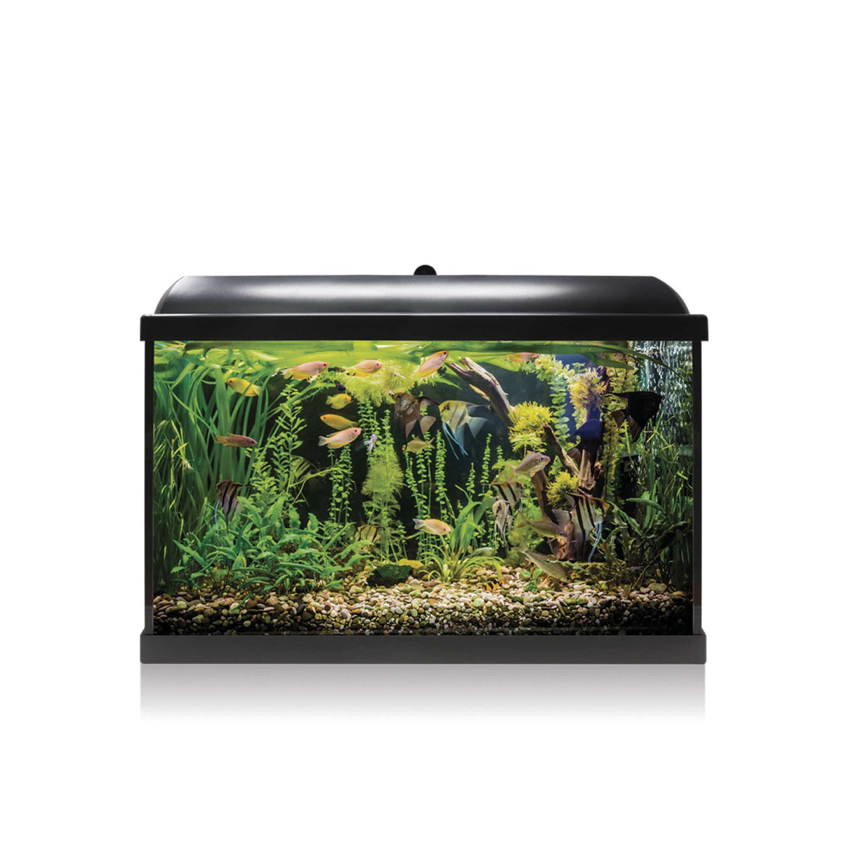 acuario kit aqua led 68 pro negro