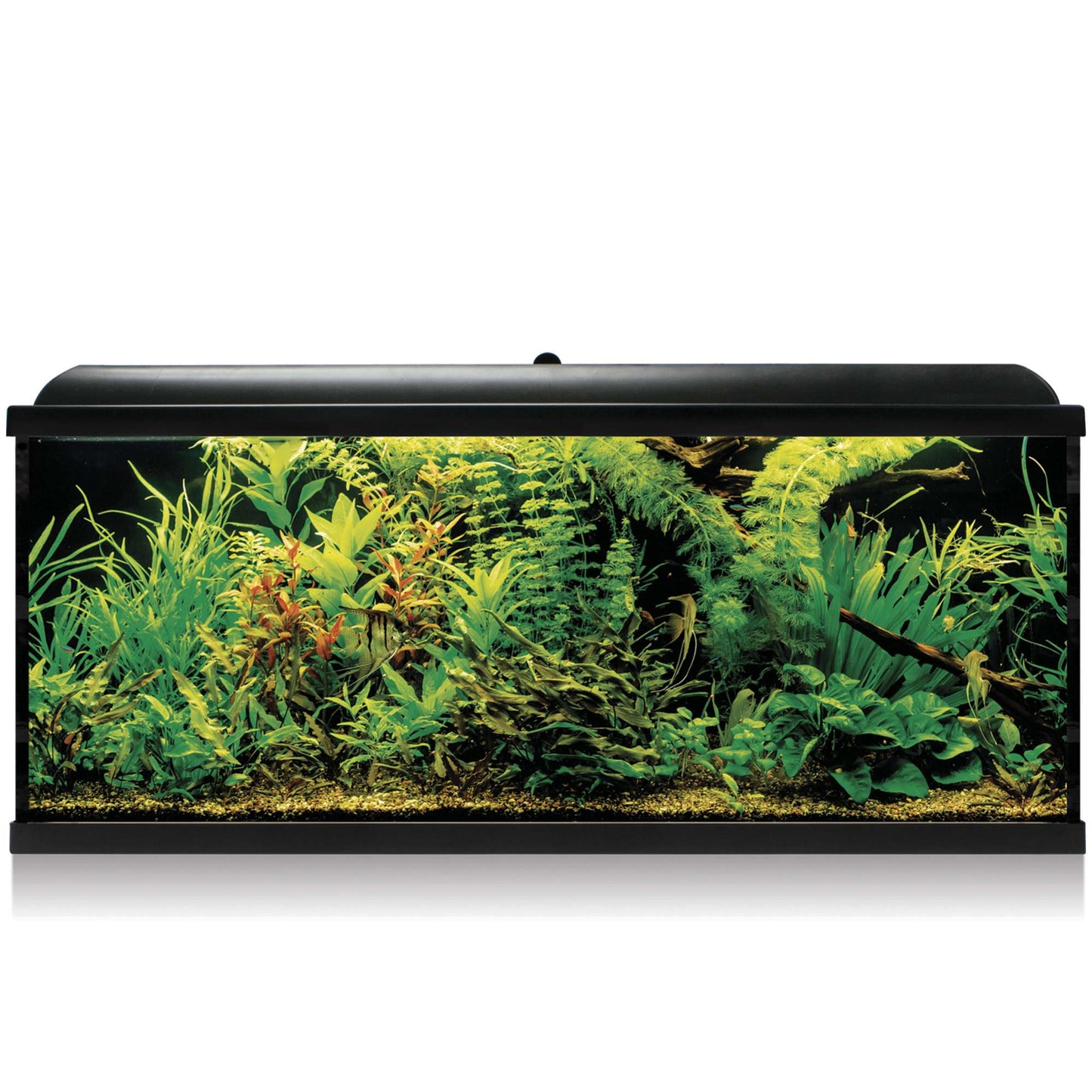 acuario kit aqua led pro negro