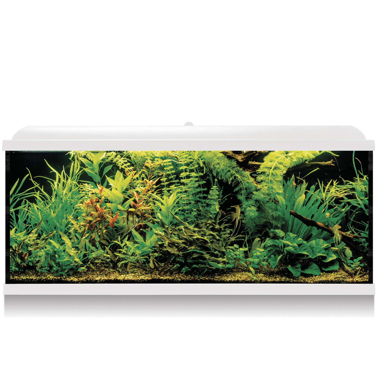 acuario kit aqua led pro 240 blanco