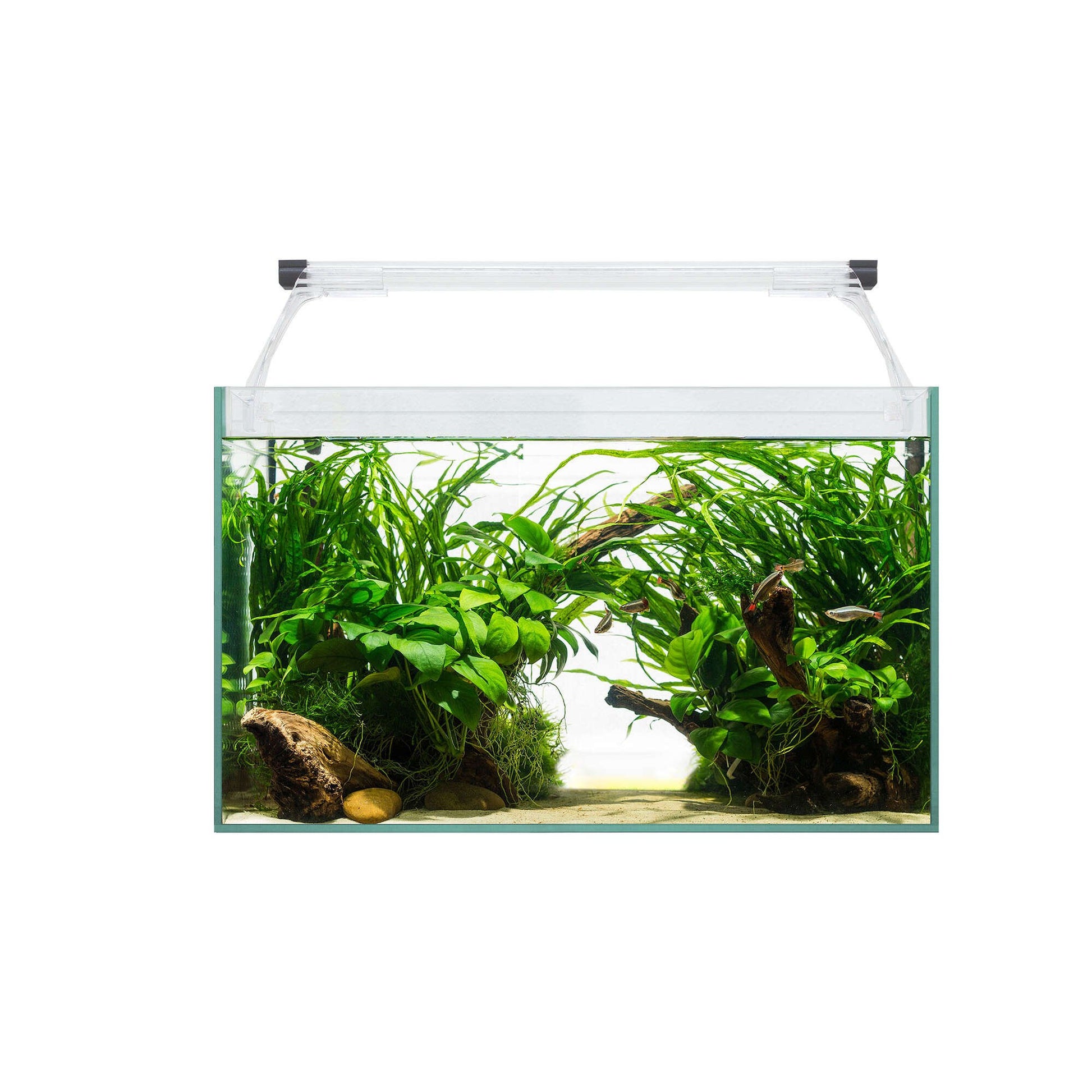 kit de acuario aqua light glass 40 litros