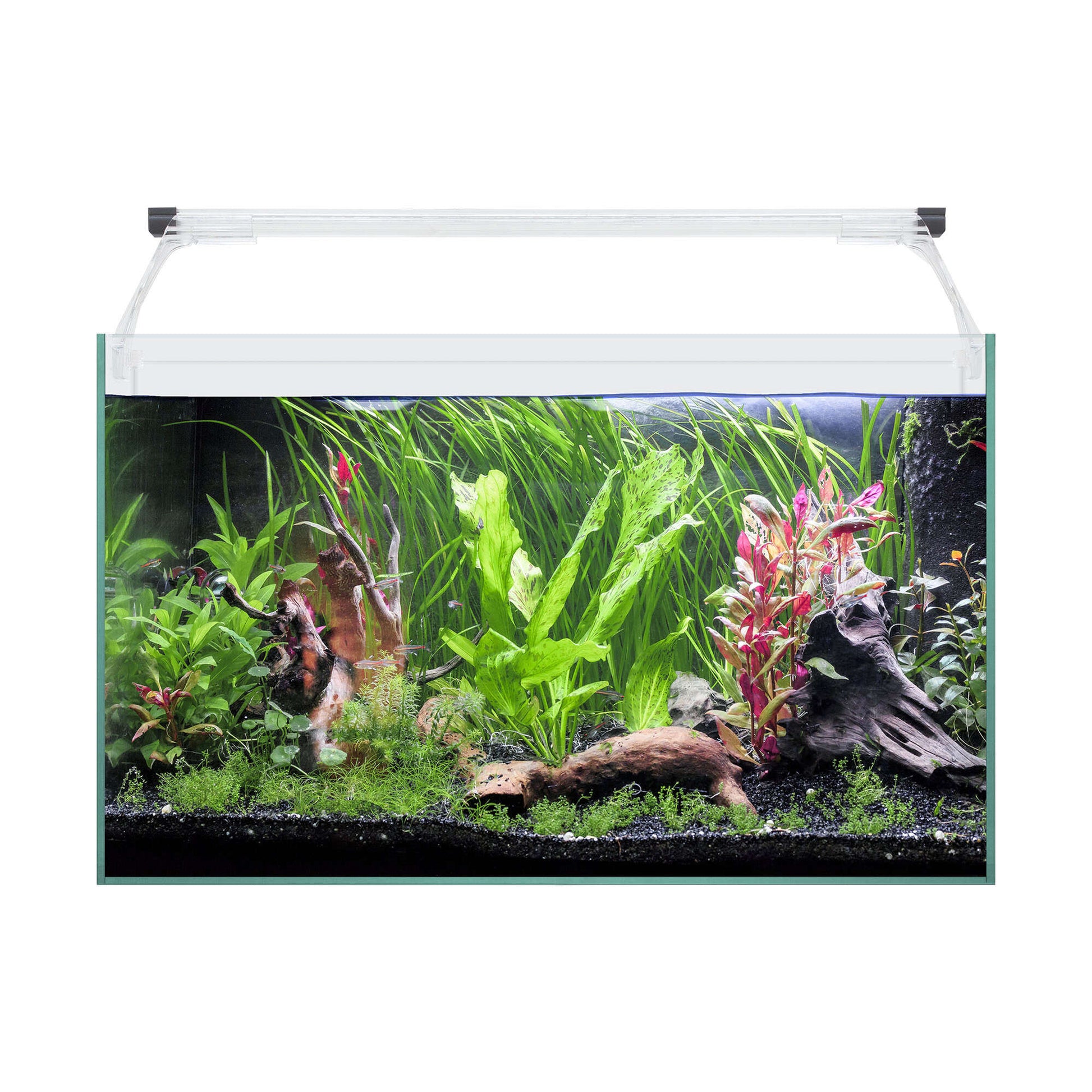 kit de acuario aqua light glass 50 litros