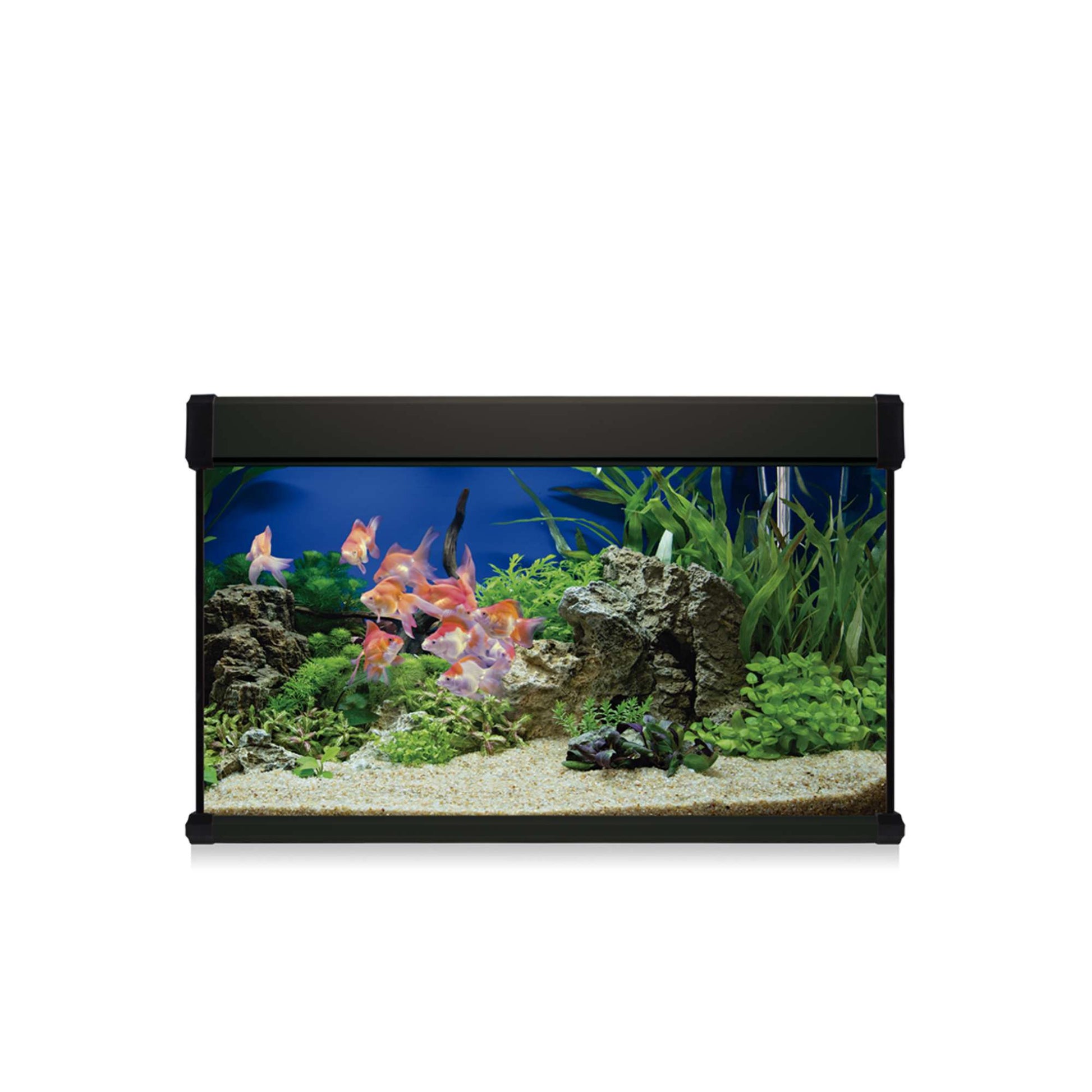 acuario kit aqua lux pro de 100 litros negro
