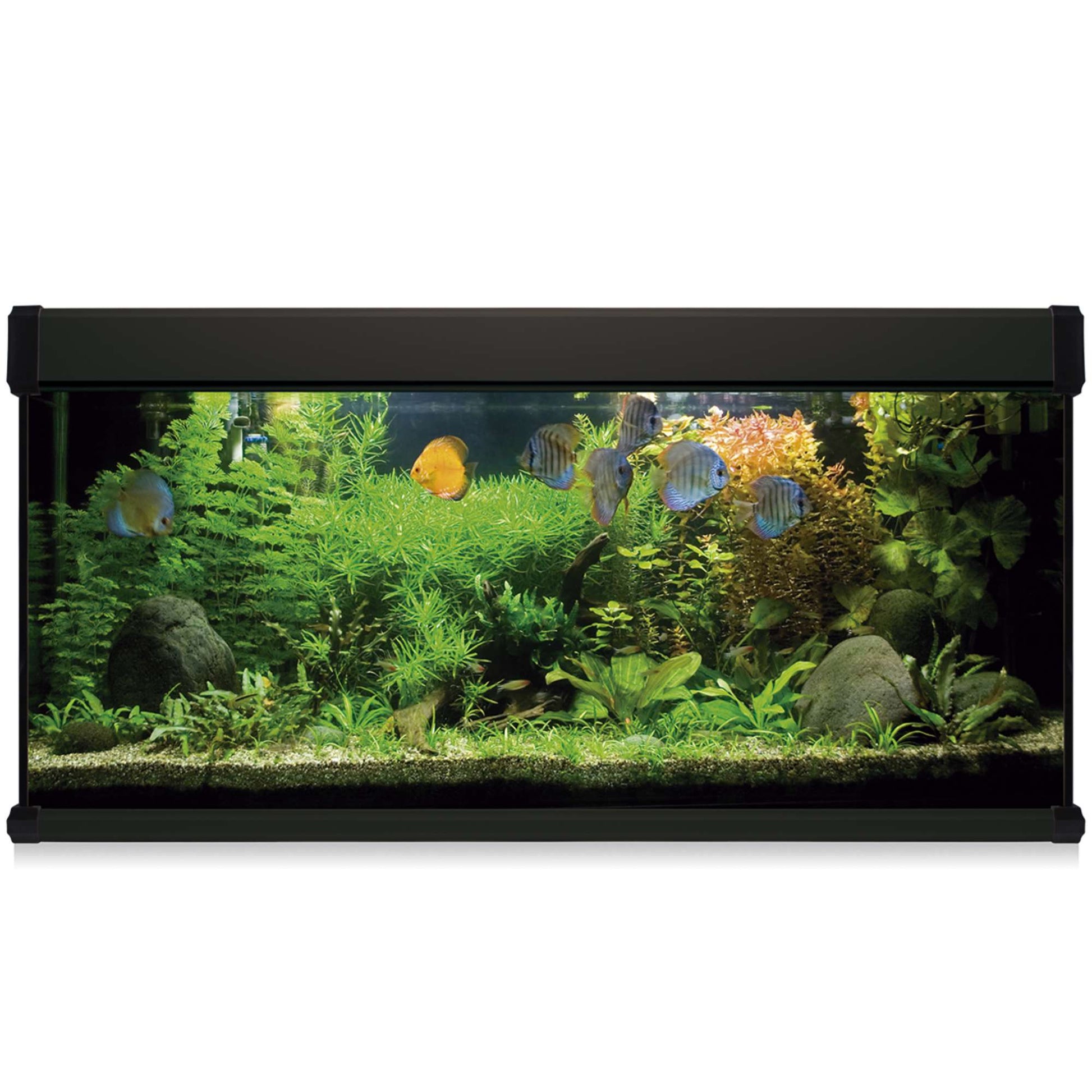 acuario kit aqua lux pro de 240 litros negro