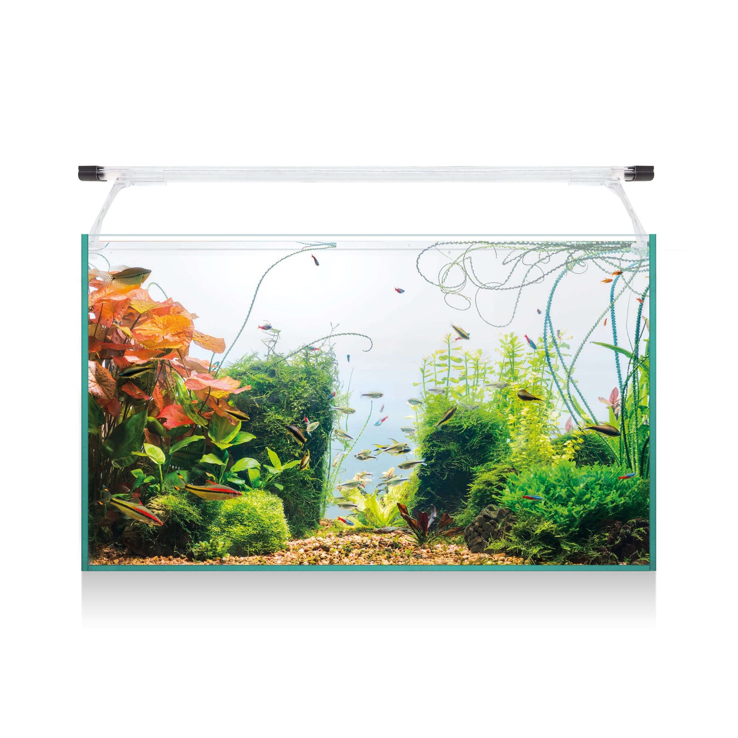 kit de acuario aqua light glass 60 litros