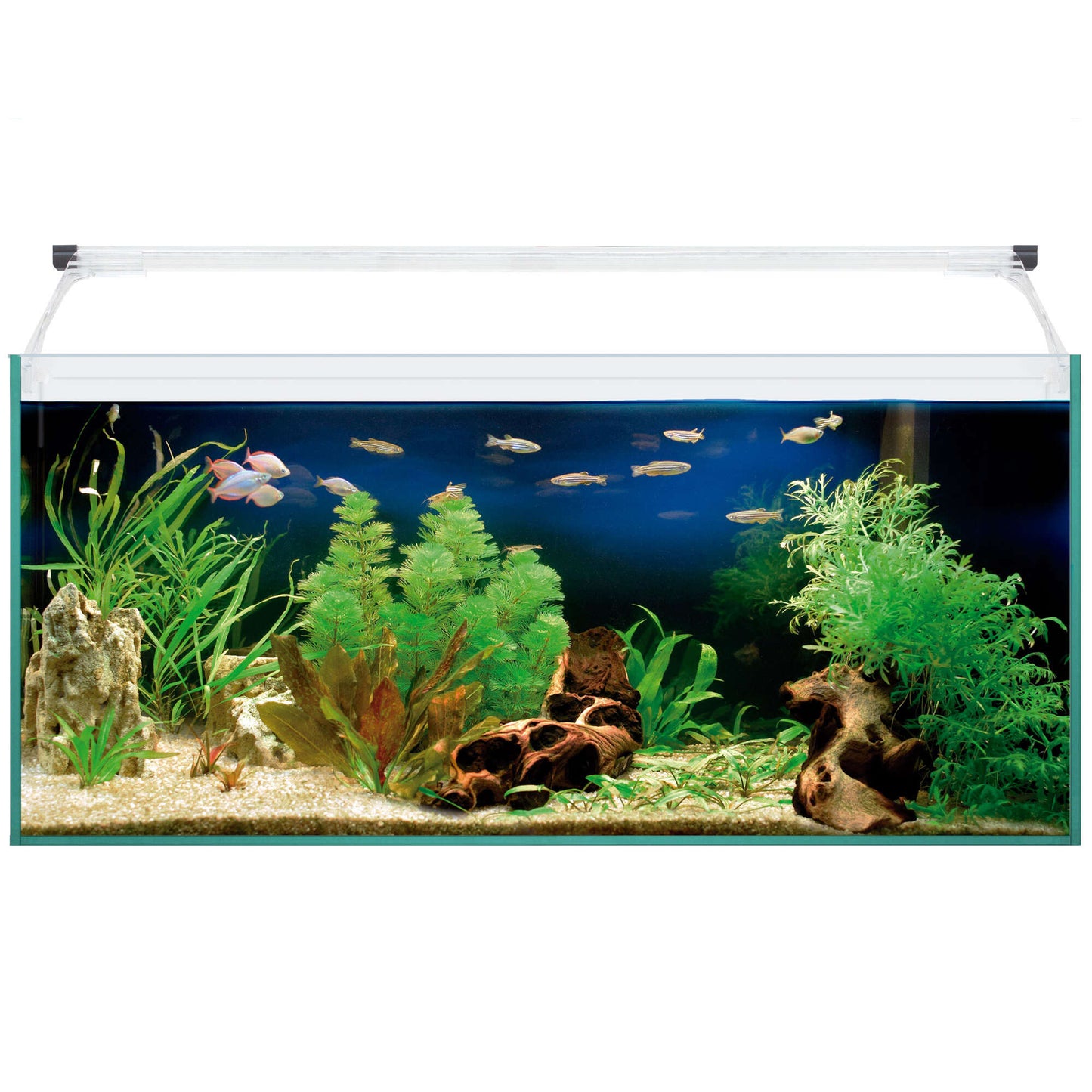 kit de acuario aqua light glass 80 litros