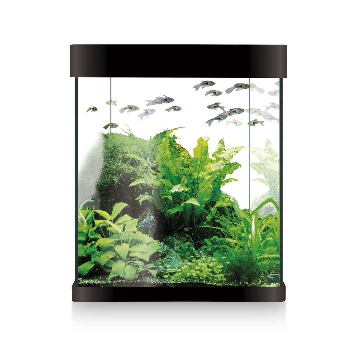 Kit Nano Acquario AQUALED Crystal 10 - Acquario Da 10 Litri Con Illuminazione LED, Colore Crema